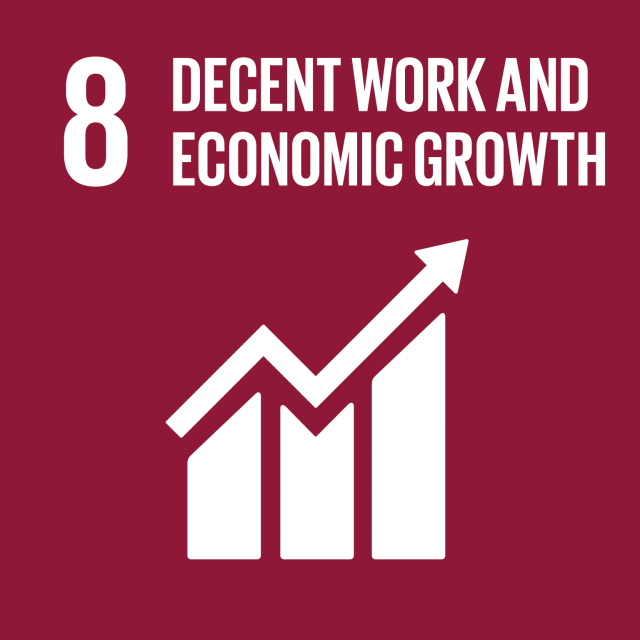 1 E Sdg Goals Icons Individual Rgb 08.png